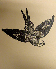 Tan Bird Pads